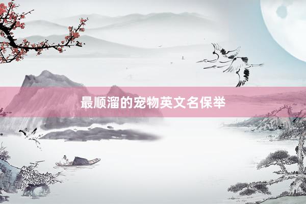 最顺溜的宠物英文名保举