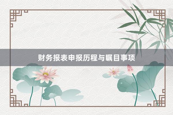 财务报表申报历程与瞩目事项